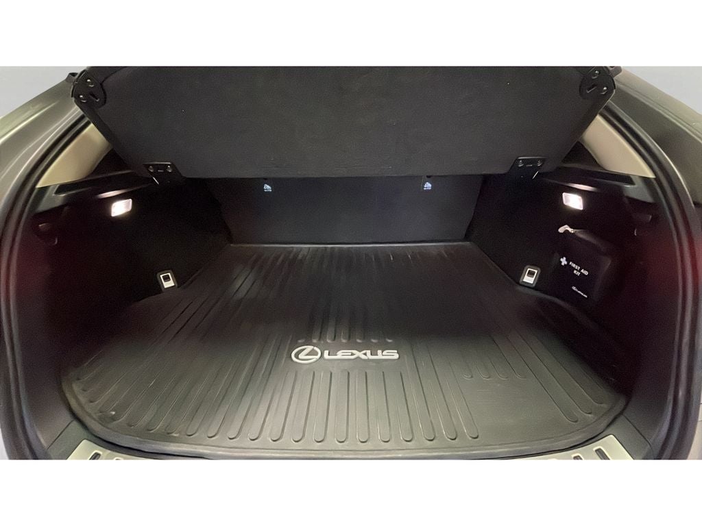 2020 Lexus NX 300 NX 300