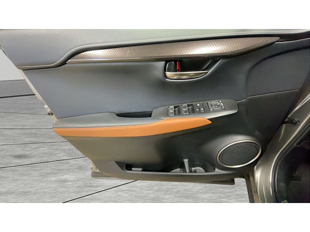 2020 Lexus NX 300 NX 300